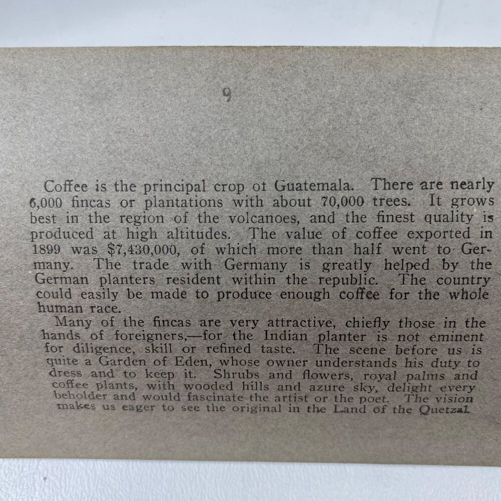 Antique 1905 Stereoview Photo Card Women Children Coffee FINA Guatemala C. A. - Picture 6 of 7